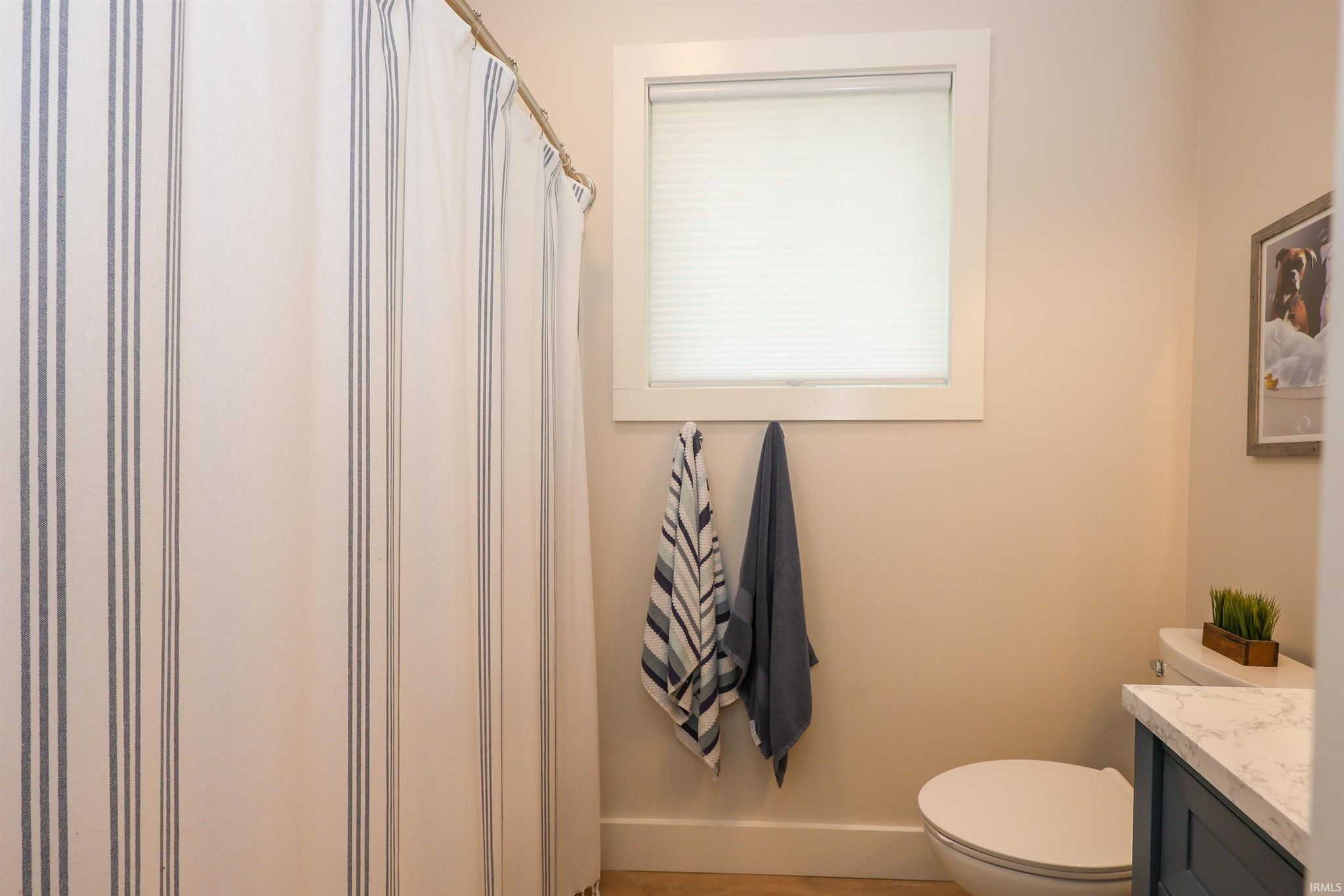 Image of 858 Lions Drive